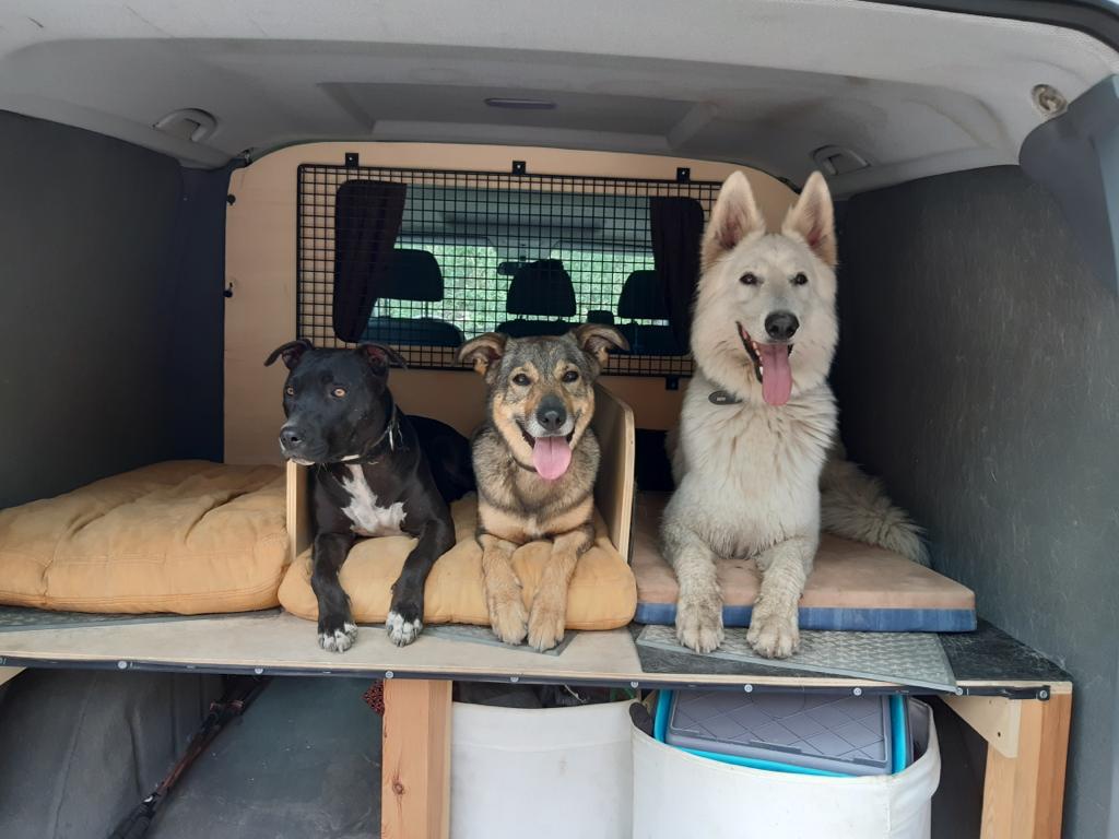 Abhol- & Bringservice